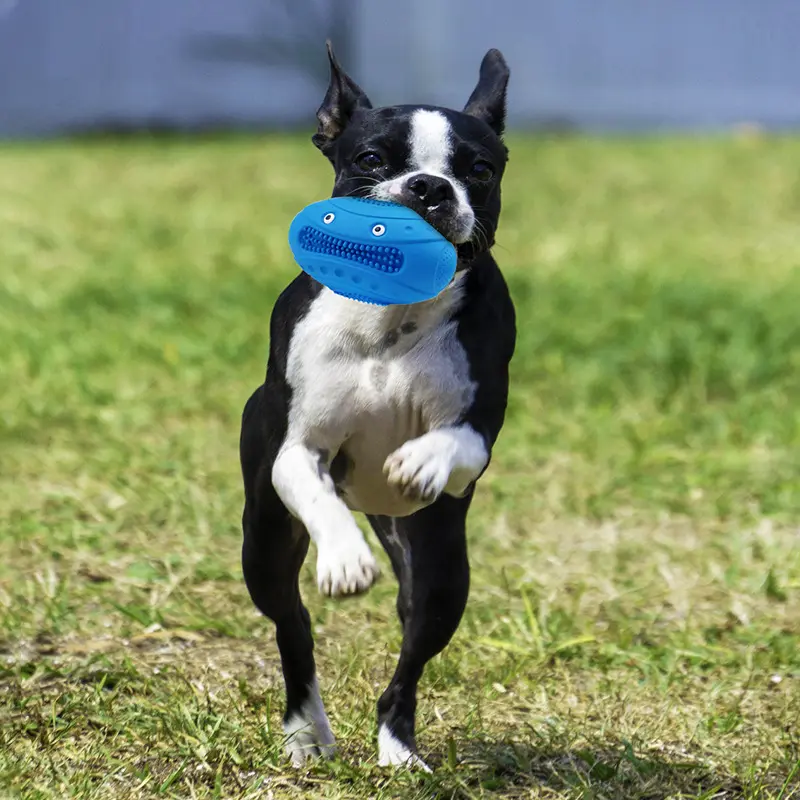 Vocal Rugby Pet Toy Natural Rubber Molar