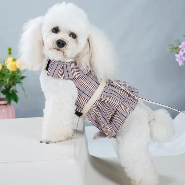Chest Strap Hand Holding Rope Pet Products Vest Style Purple Skirt - Shop at LoveMi