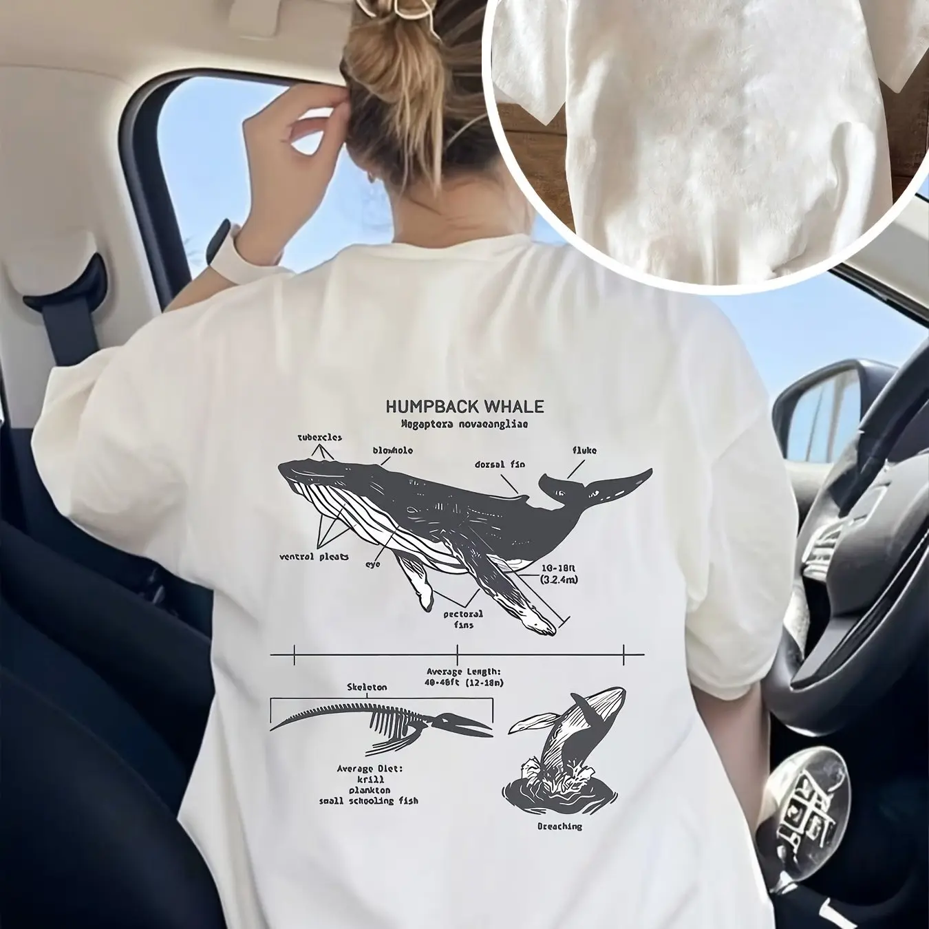 Neck Casual Humpback Whale Print White Tee