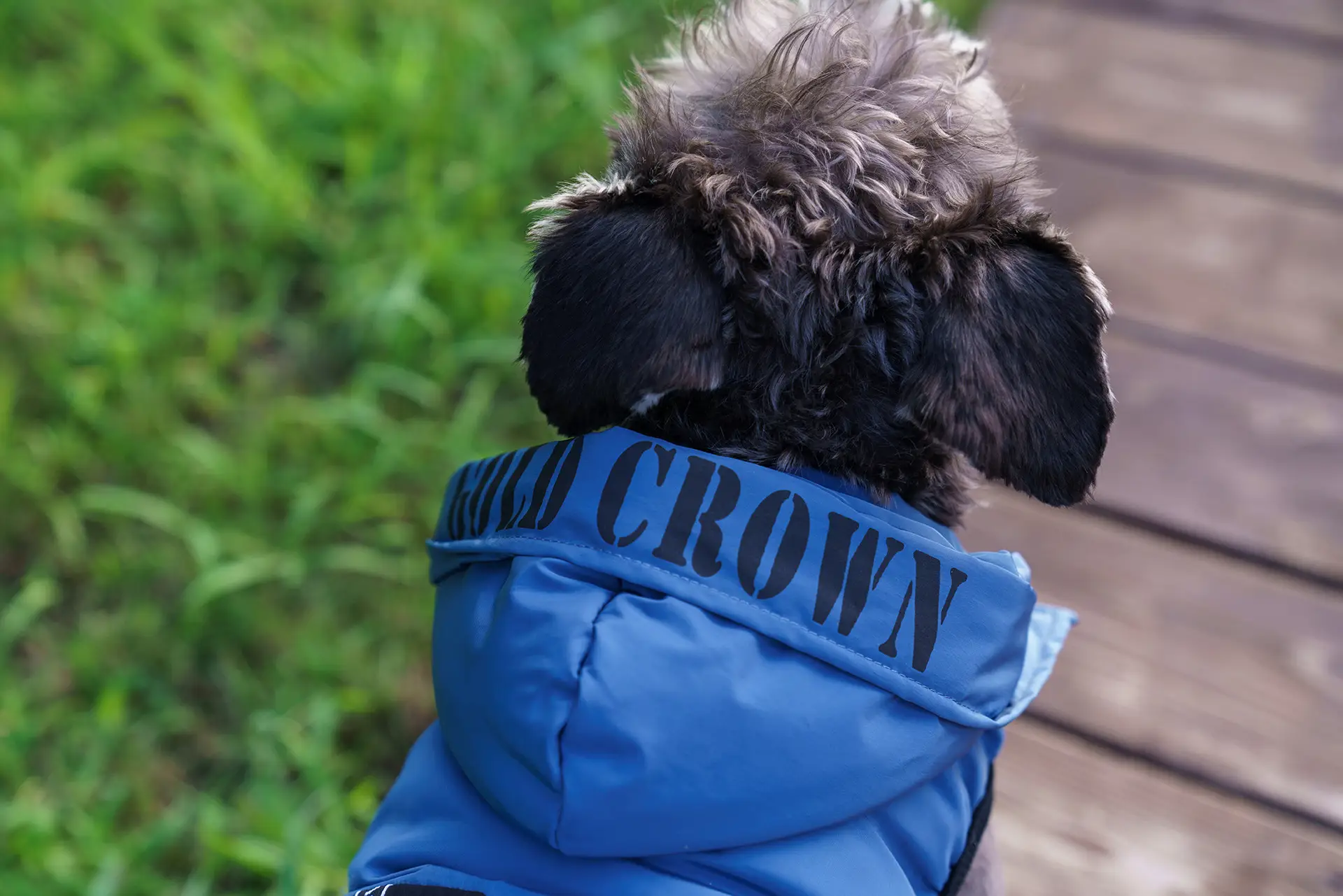 Autumn And Winter New Pet Hooded Thickened Jarre Aero Bull Bichon Winter Cotton Dress
