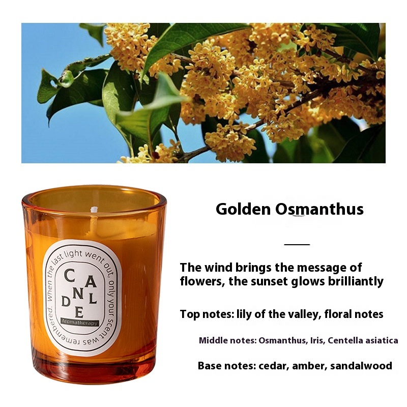 Osmanthus Fragrans Orange