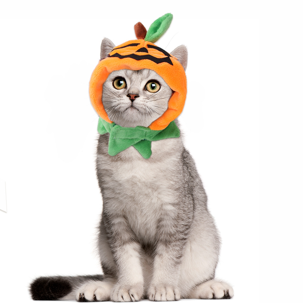 Expression Pumpkin Hat