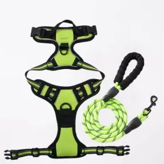 Pet Hand Holding Rope Chest And Back Nylon Dog Rope - Green 1.5 M Rope - View 1