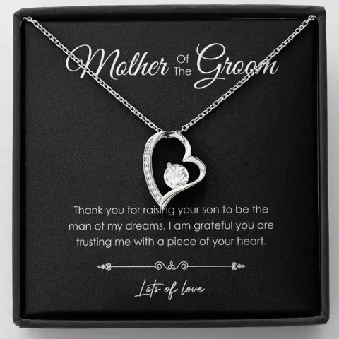 S925 Silver Heart-shaped Necklace for Women