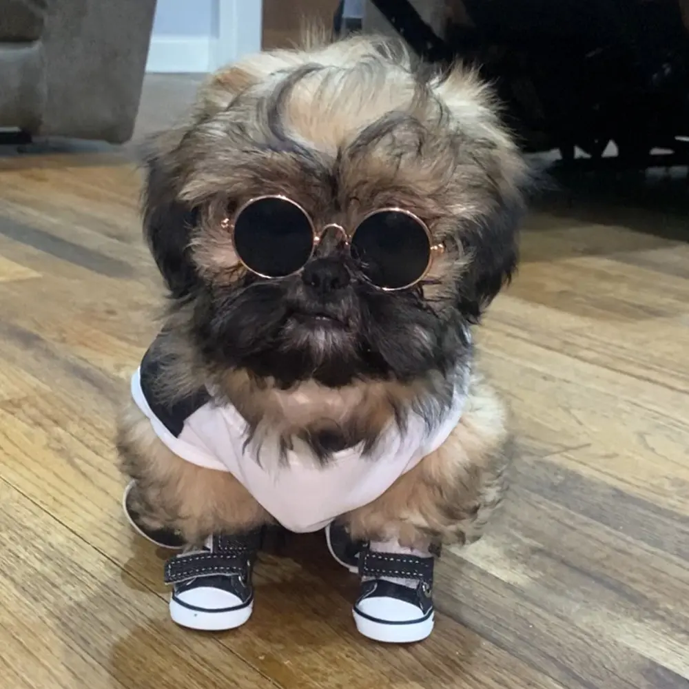 Small Dog Poodle Shoes Anti-dirty Anti-slip Canvas