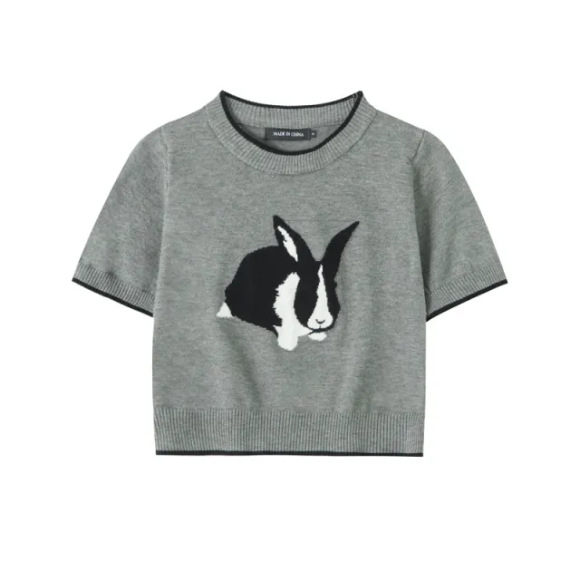 Rabbit Short Slimming Knitted T shirt Gray - Shop at LoveMi