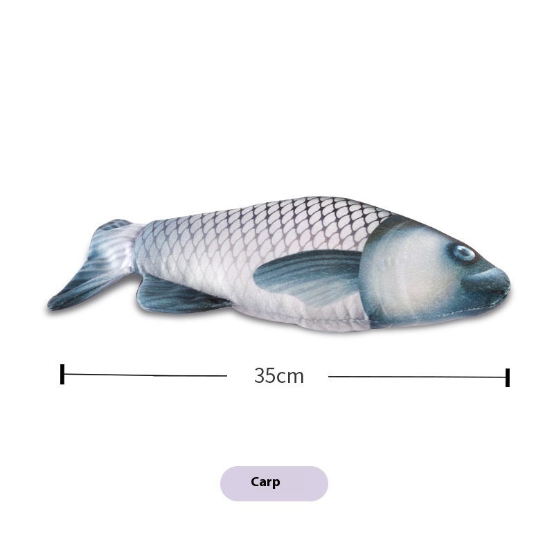 Simulation Carp