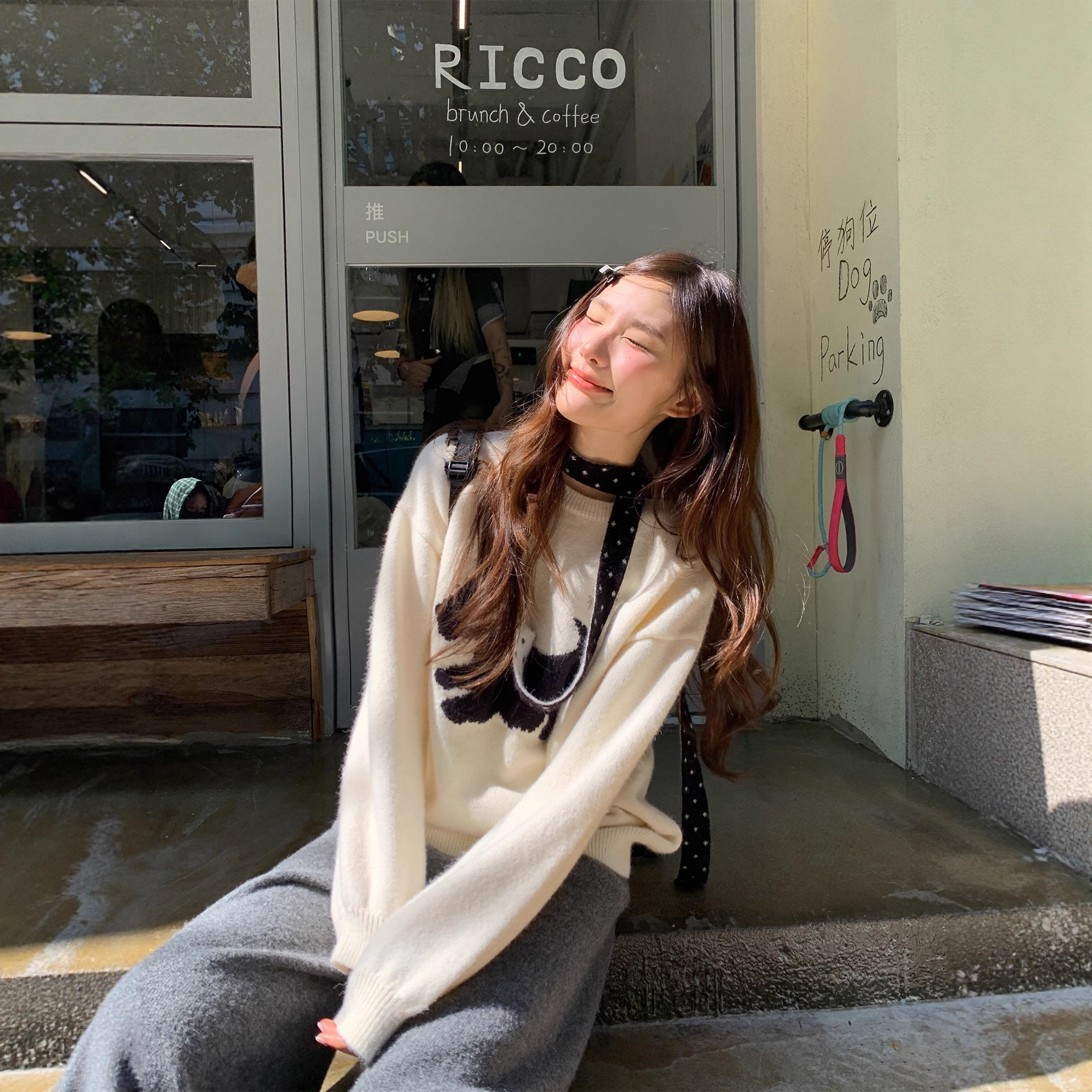 Womens Puppy Jacquard Embroidery Pullover Sweater