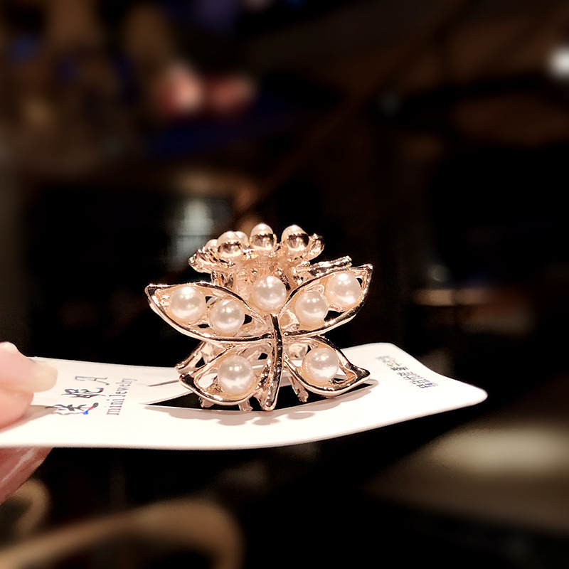 Pearl Metal Geometry Back Head Female Small Jaw Clip