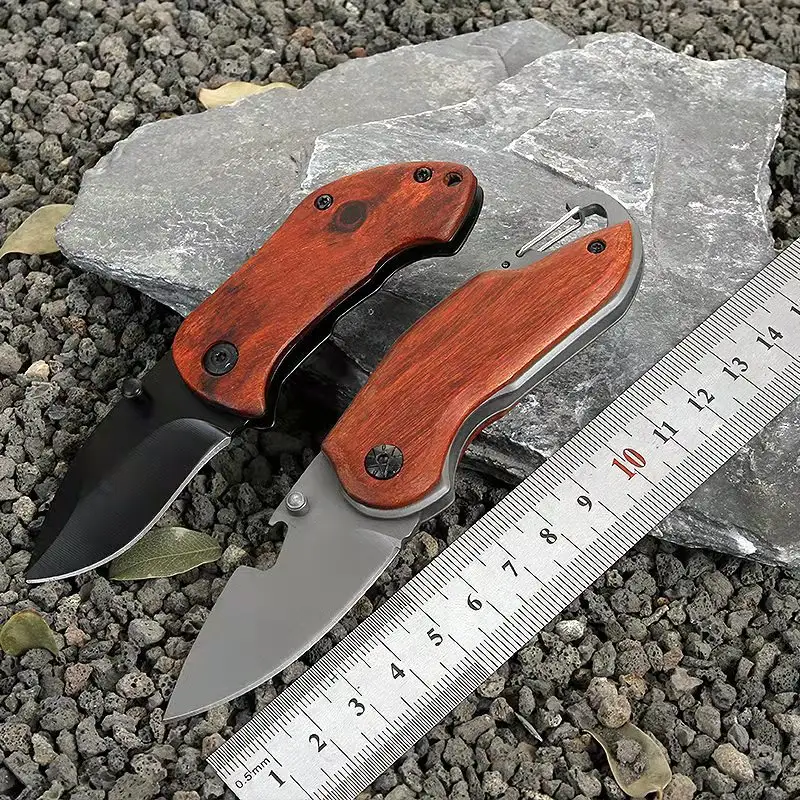 Portable Stainless Steel Folding Mini Fruit Knife