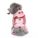 Yy34 Strawberry