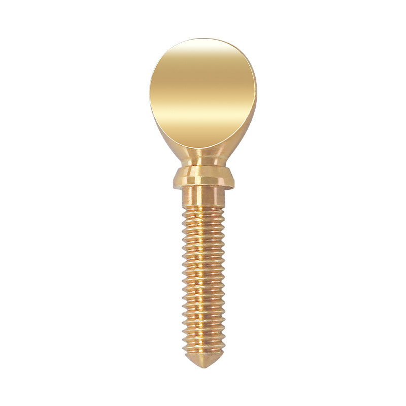 Flat Screw Saxophone Fittings Golden Instrument