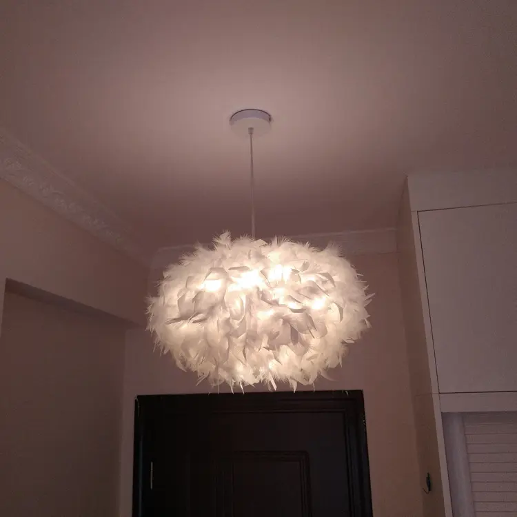 Living Room Simple Modern Bedroom Feather Chandelier