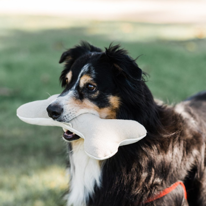 Cotton Velvet Dog Toy Bone Biting Molar Rod