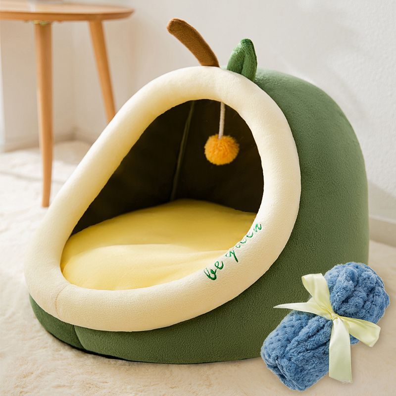 Avocado With Blanket