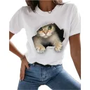 Cat Series9