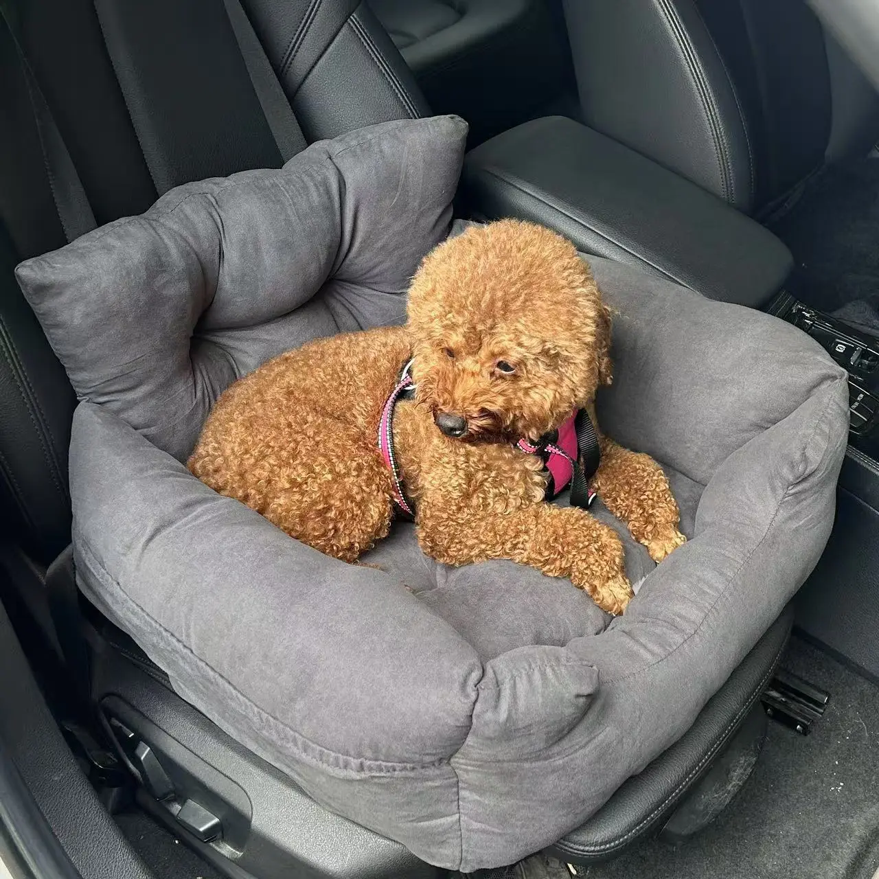 Pet Car Carrier Universal