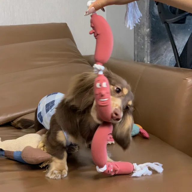 Dog Hand Holding Rope A Bunch Of Big Sausage Brown Three Section Toy - Shop at LoveMi