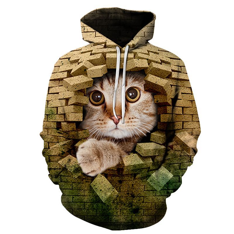 Couples Hoodie With 3D Digital Cat Print