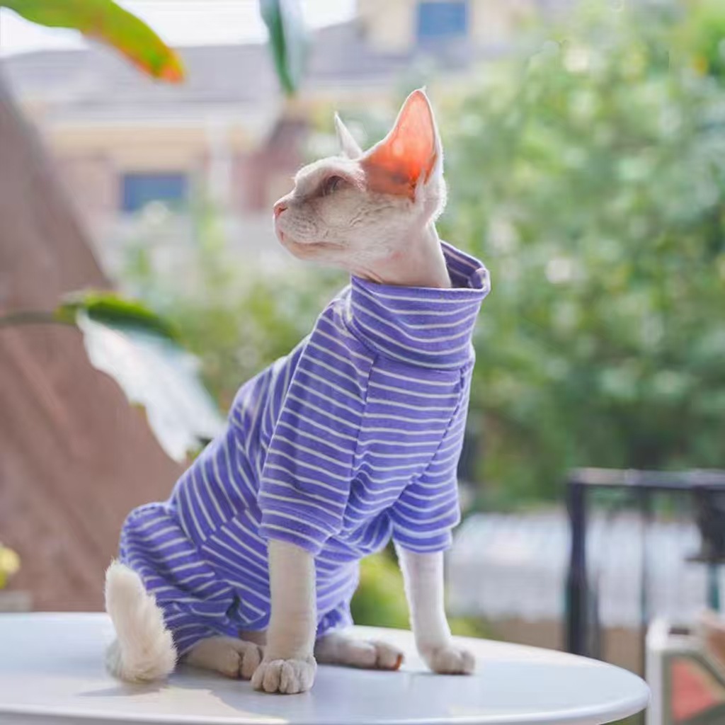 Pet Clothes Cat Spring Summer New Arrival Belly-Protecting Full-Covering