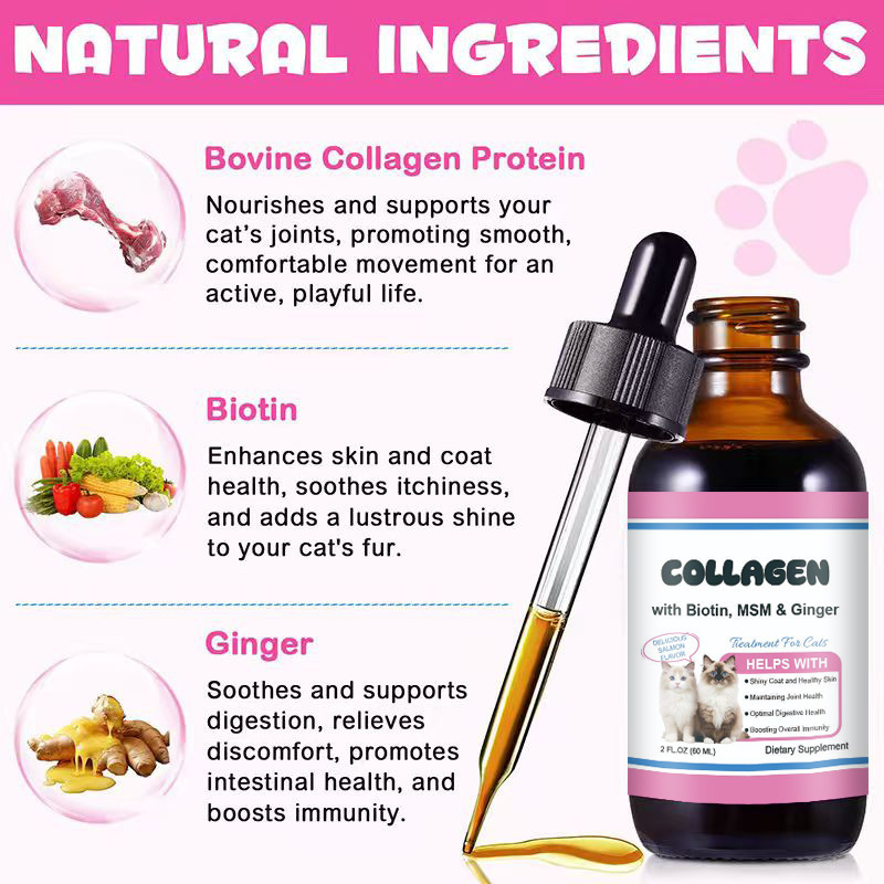 Collagen Drops For Cats To Boost Immunity And Support Digestion