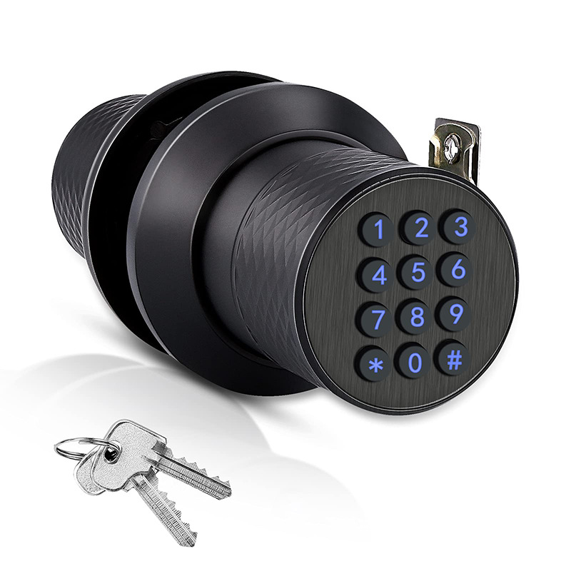 Smart Lock Electronic Password Door Lock For Indoor Use
