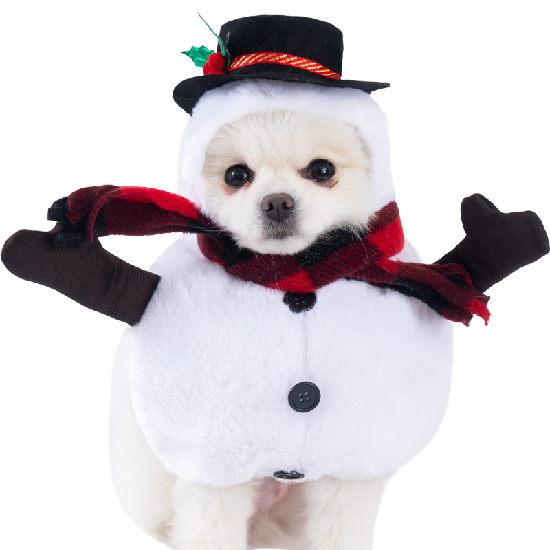 Snowman Outfit