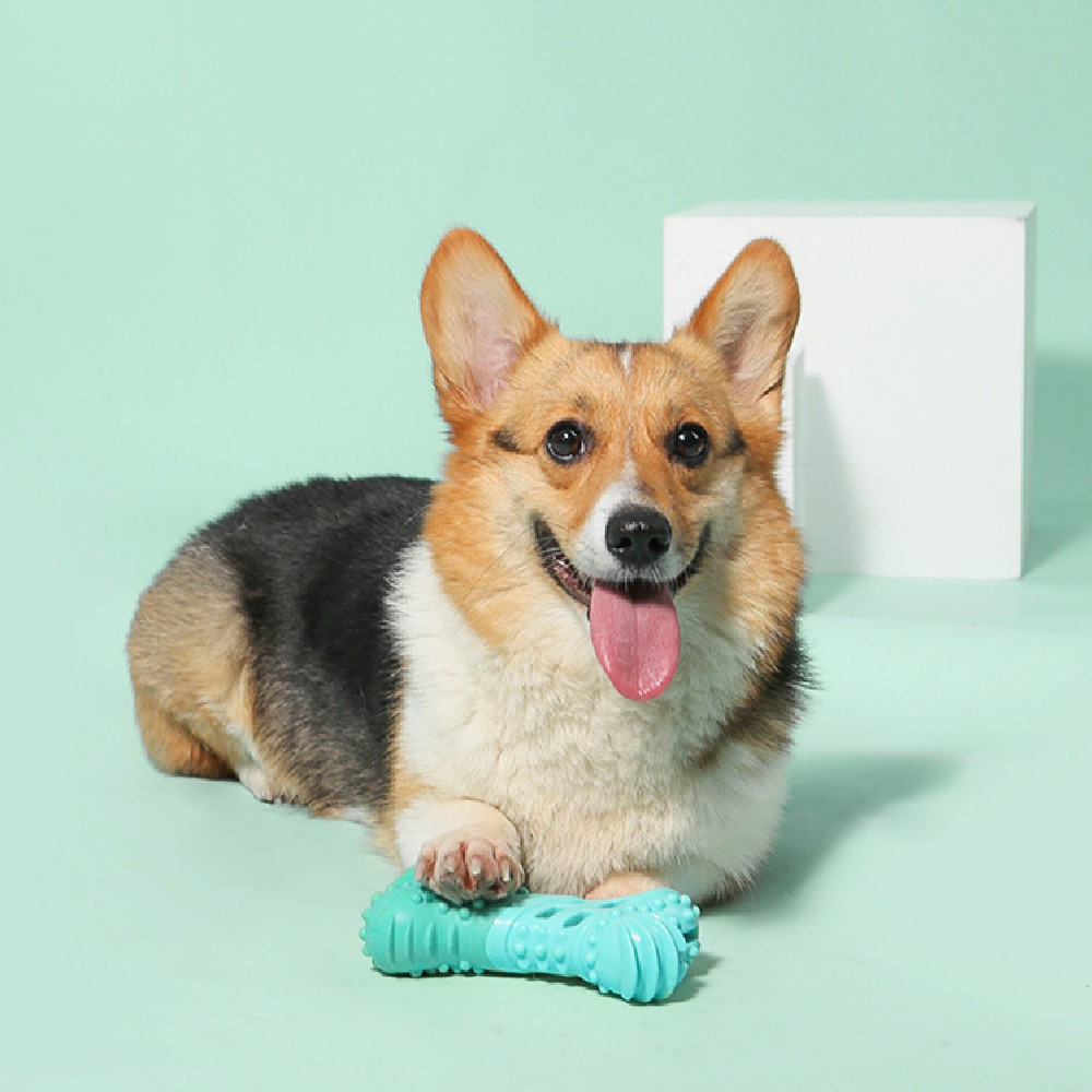 Dog Toy Food Leakage Molar Rod Outdoor Water Floating Toy