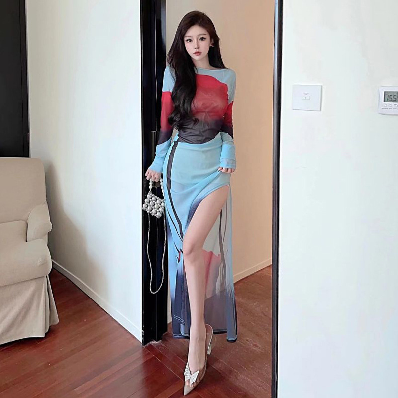 Women's Clothing Wholesale Southeast Asian Design Sense Printed Mesh See-through Split Long Dress