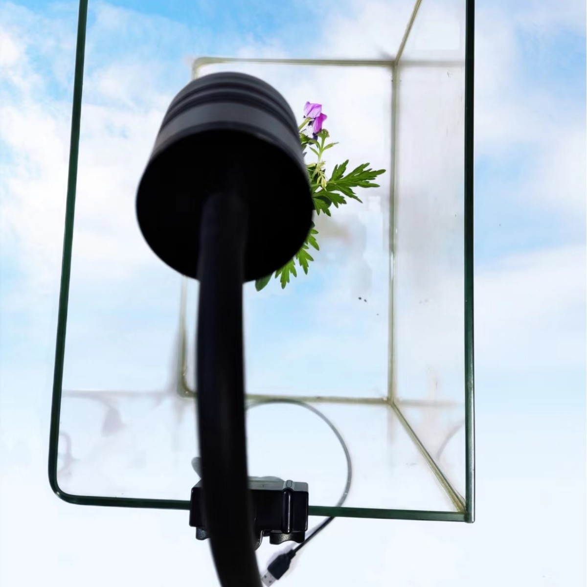 Cyclically Timed Dimmable Aquatic Plant Lighting Spotlight For Fish Tanks