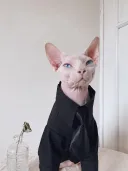 Black Tie