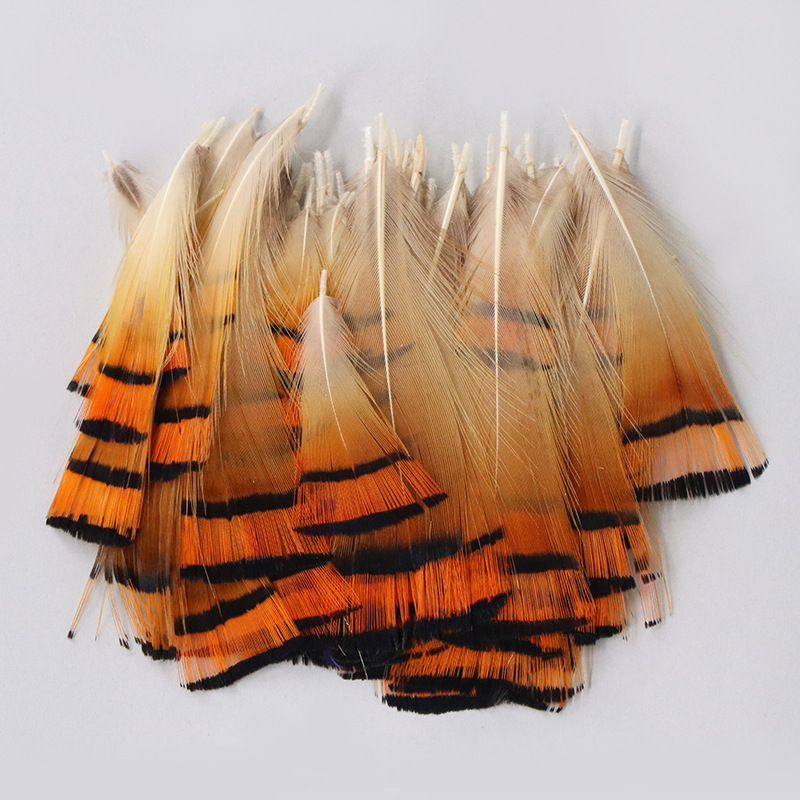 Decorations Pheasant Feathers