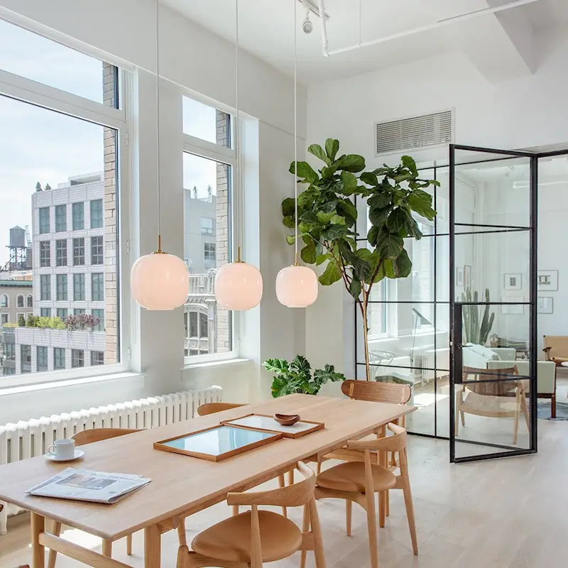 Single-head Pendant Light For The Living Room