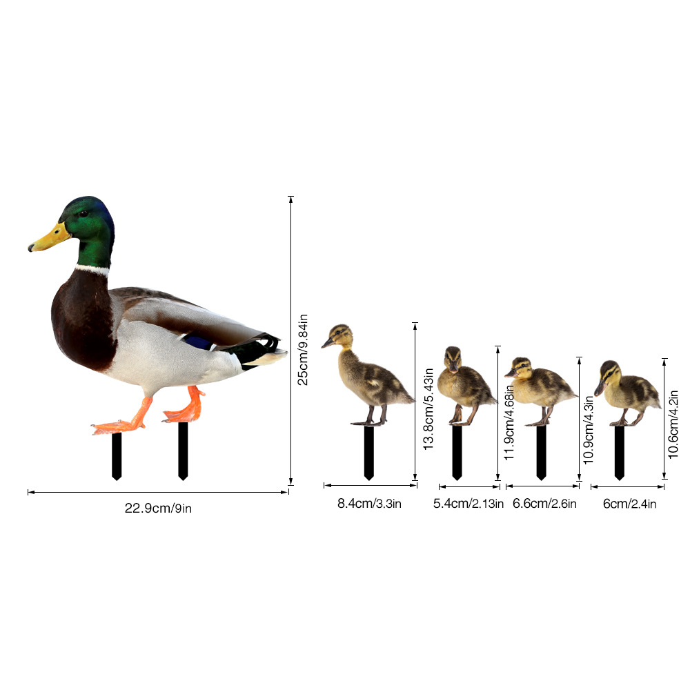 Title 1, Three-dimensional Courtyard Wild Duck Child Acr...