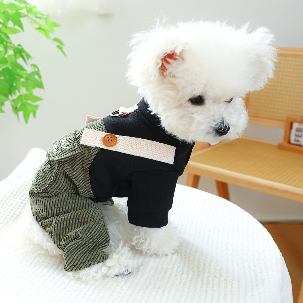 Title 6, Pet Ring Dog Cat Clothes New Corduroy