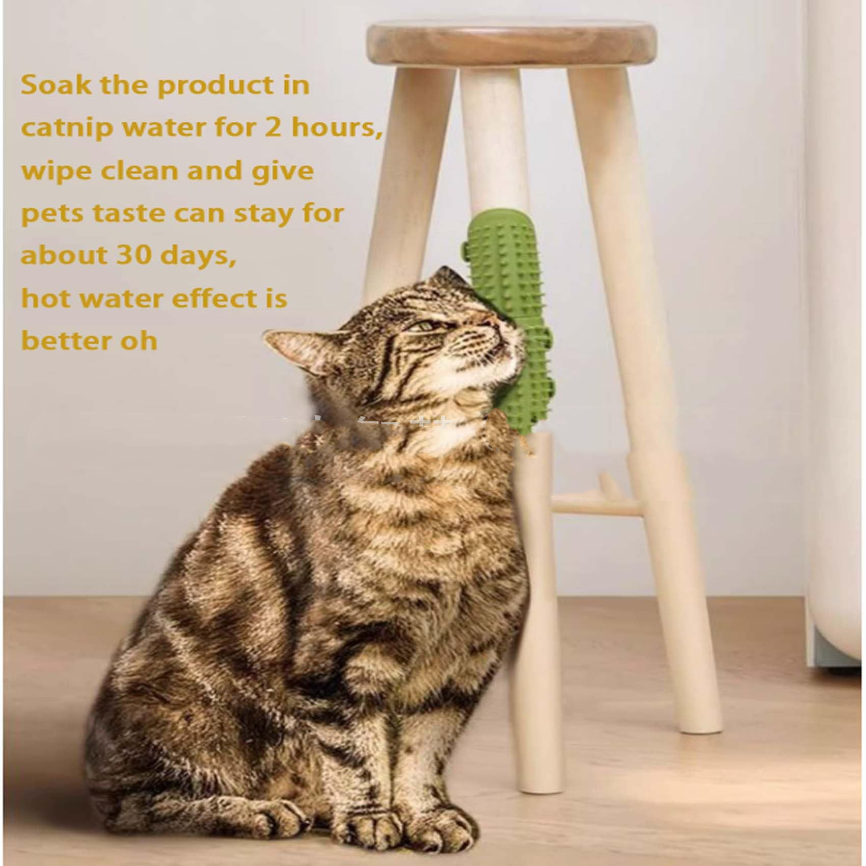 Home Fashion Statement Cat Porcelin Green Oil - Shop at LoveMi