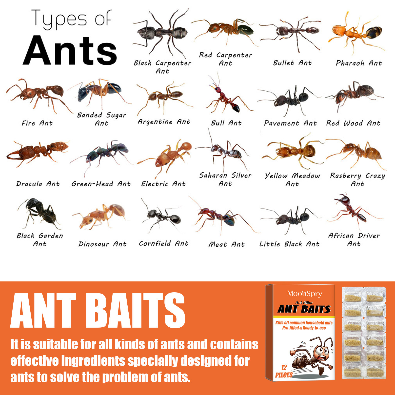 Title 9, Ant Lokaas Poeder Universeel Insecticide Multi-...