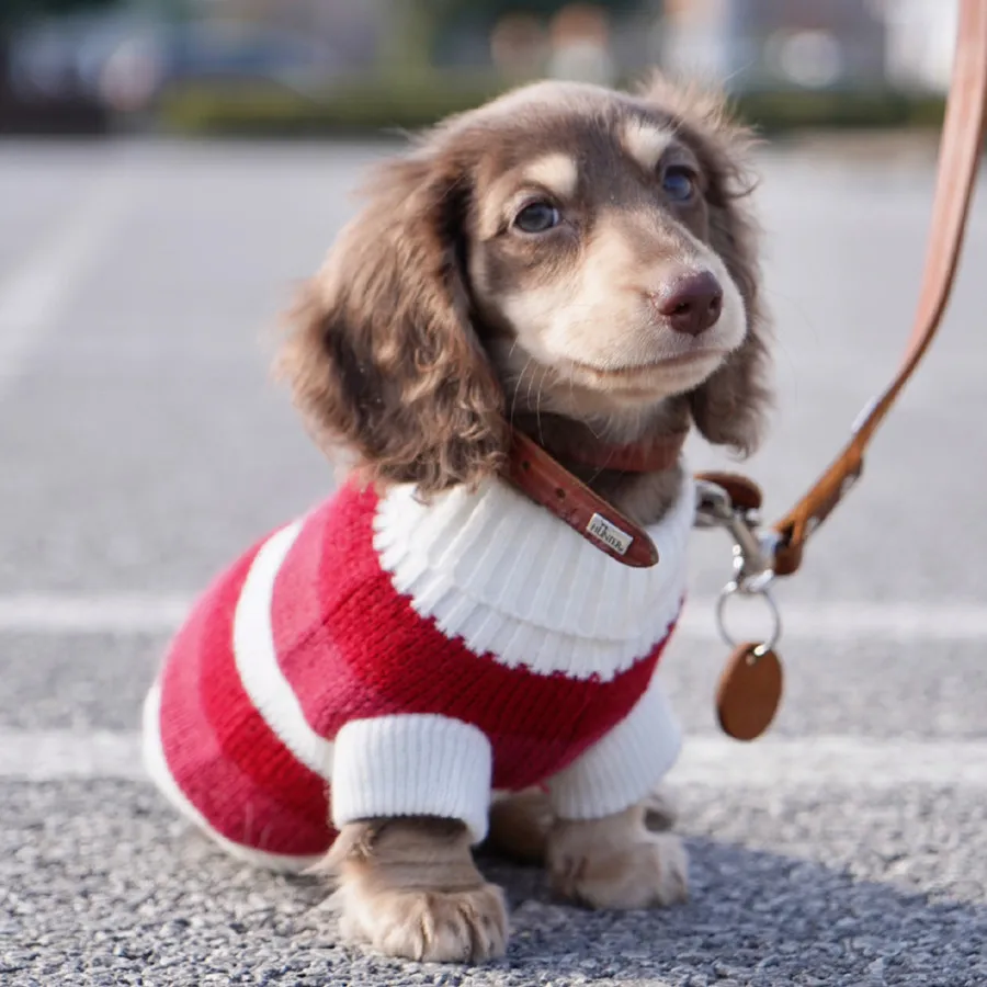 Sausage Dog Clothes Small Dog Cat Warm Thickened Sweater - Red And White Striped Sweater