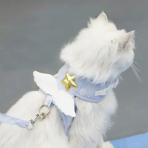 Angel Wings Cat Harness and Leash