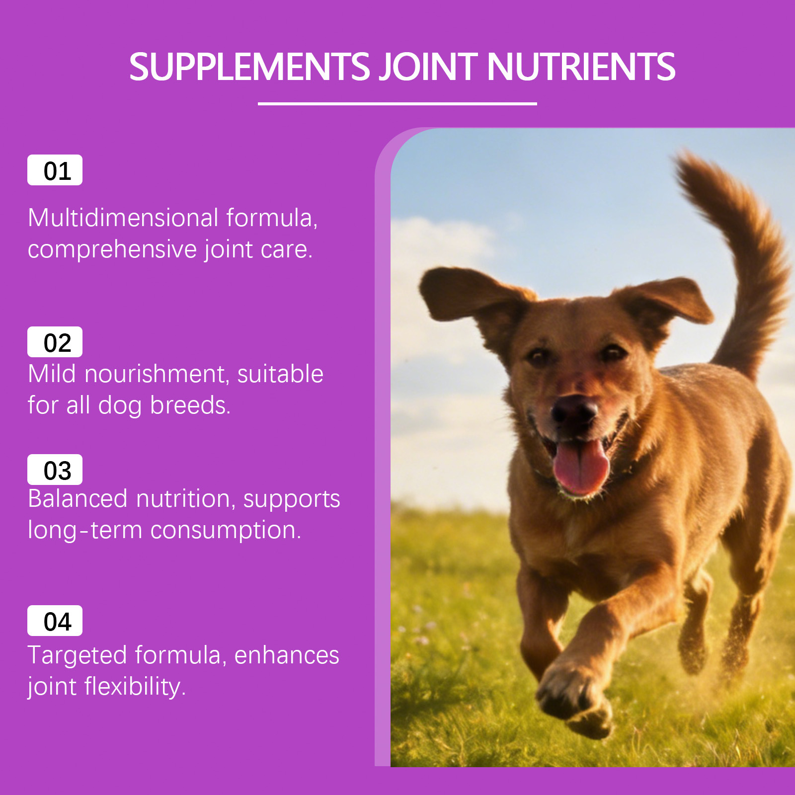 Joint Health Chewable Tablets For Dogs