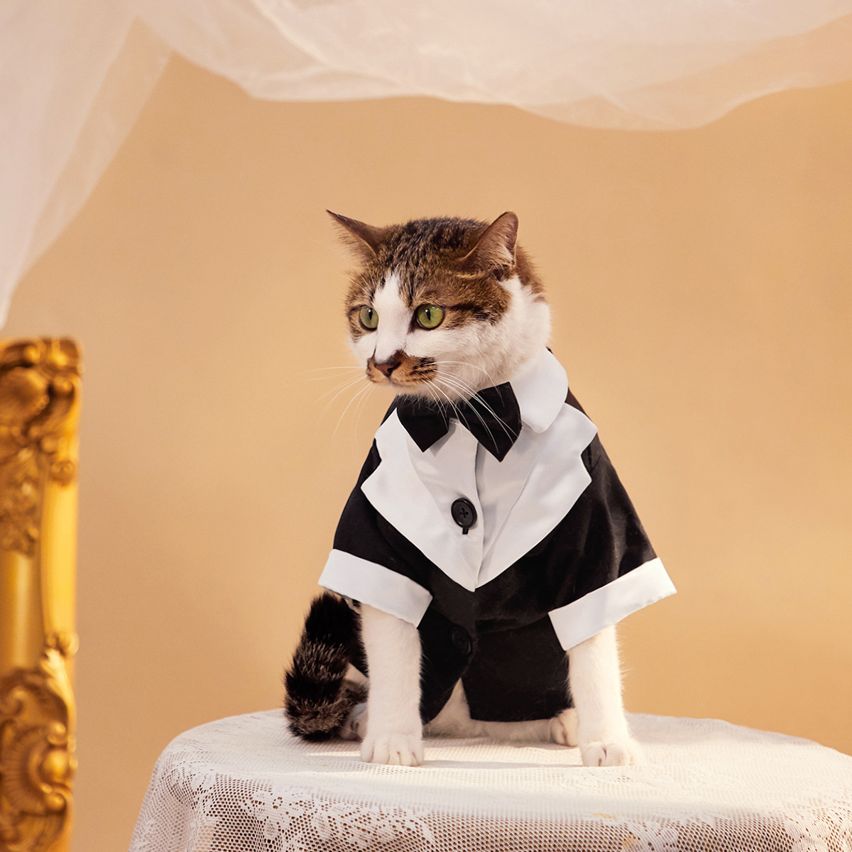 Pet Clothes Gentleman Four-legged Suit Wedding Dress