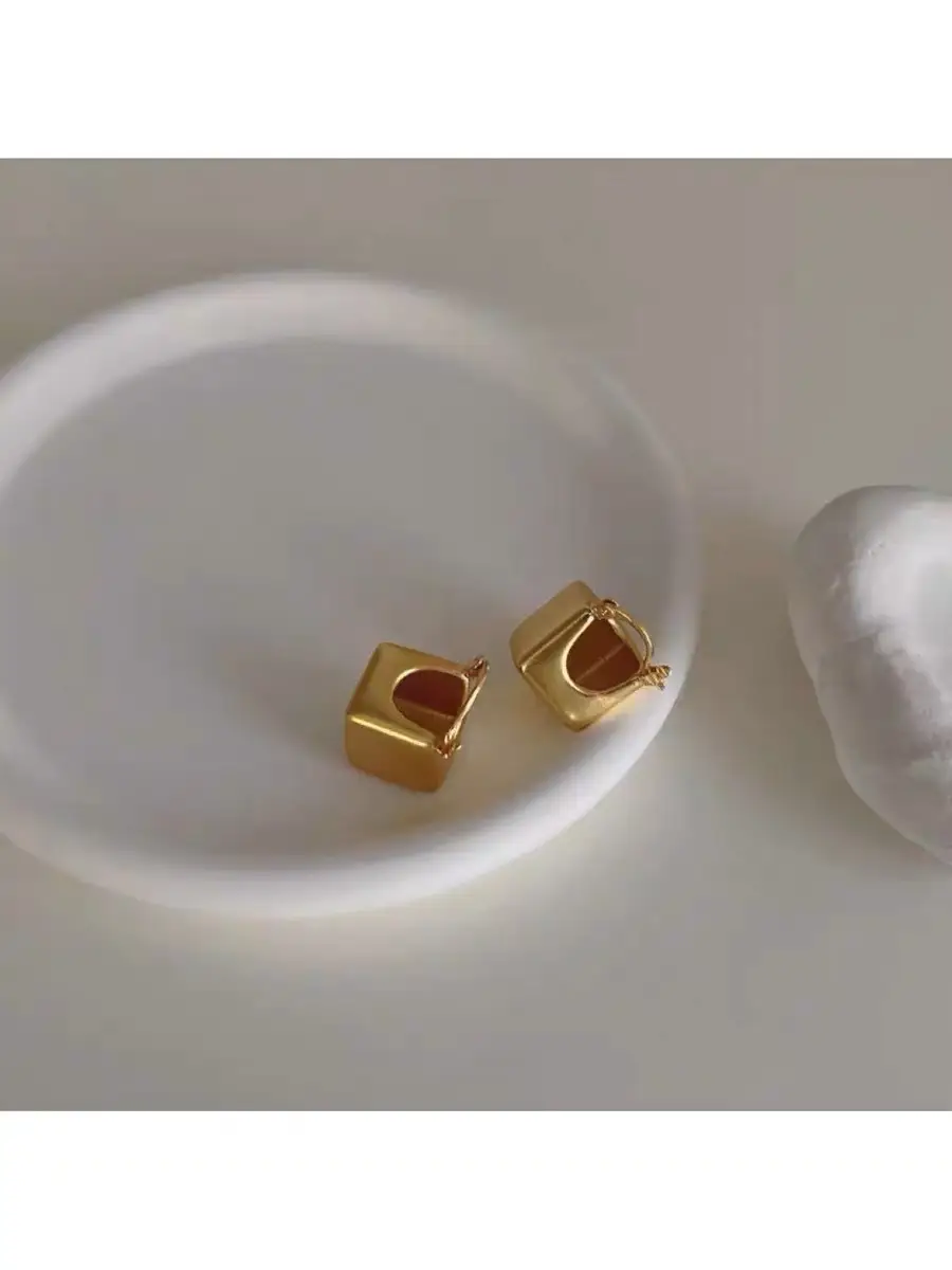 Simple And Versatile Geometric Square Matte Earrings