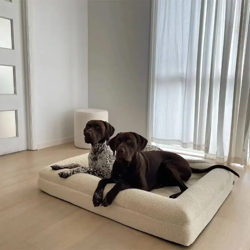 High-end Dog Bed With Memory Foam Waterproof