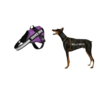 Harness Dog LeashVest-styl For Medium To Large Dogs