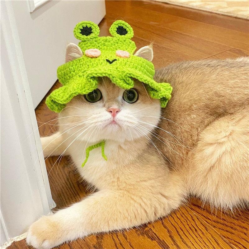 Frog Hat