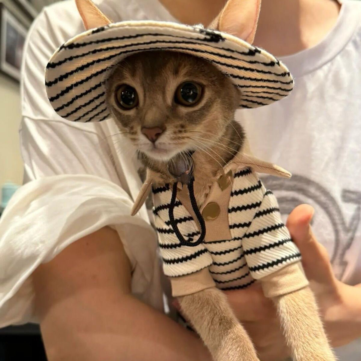 Autumn Winter Style Pure Cotton Shirt Fisherman Hat Fur-Free Cat Clothes - imagen 1