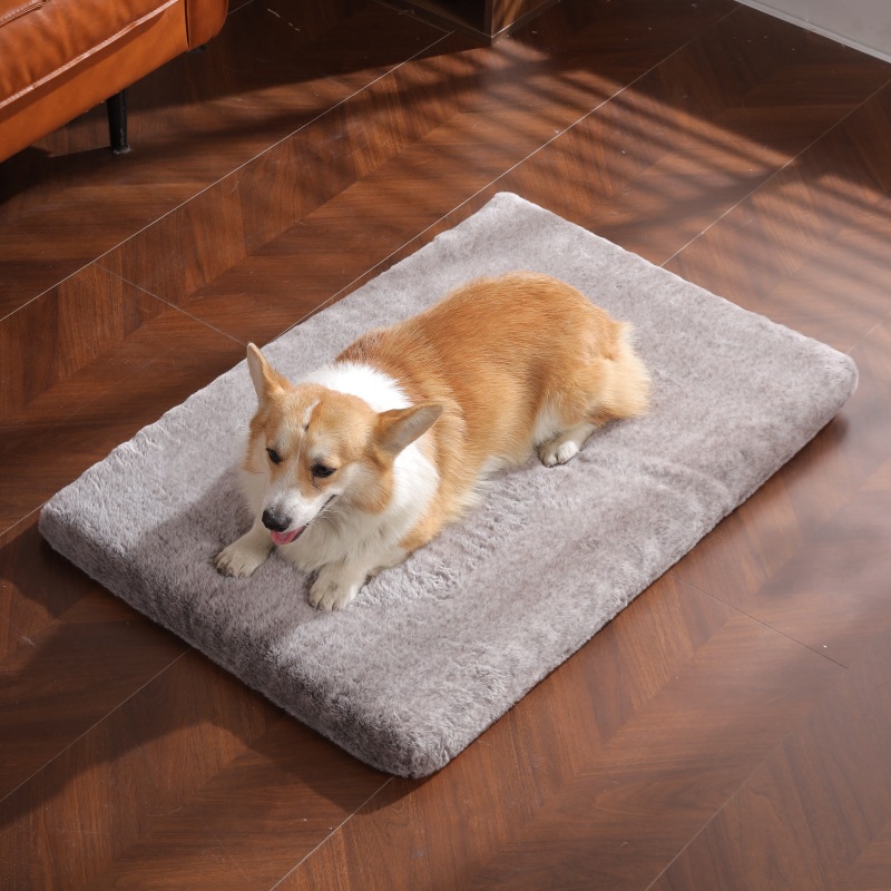 Velvet And Thickened Removable And Washable Pet Pad