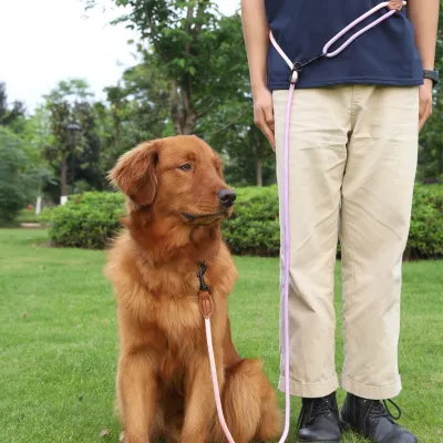 Pet Dog Cat Walking Multi-purpose Reflective Hand Holding Rope
