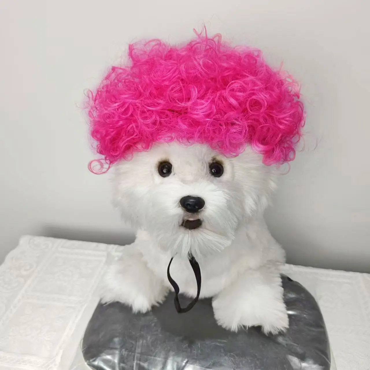 Halloween Pet Wig For Curly Or Straight