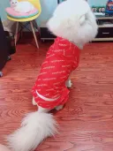 Ywwdogababy Sweatshirt Red